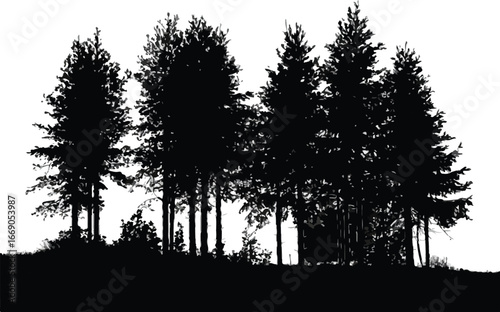 elegant minimalist vector of symmetrical evergreen trees silhouette against white background grass hill composition