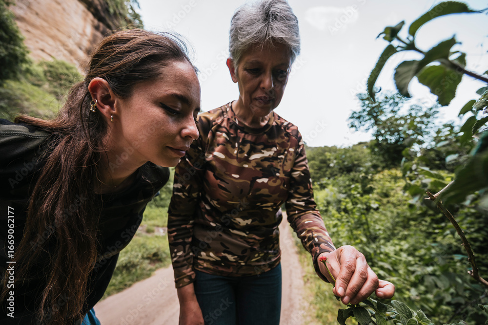 Naklejka premium Mother and daughter exploring in the forest, observing plants
