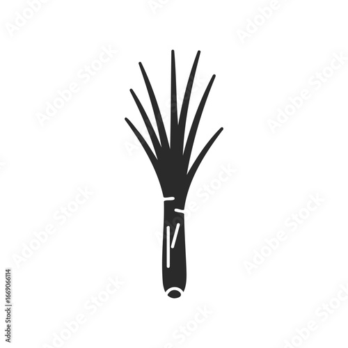 Simple black and white leek icon on white background