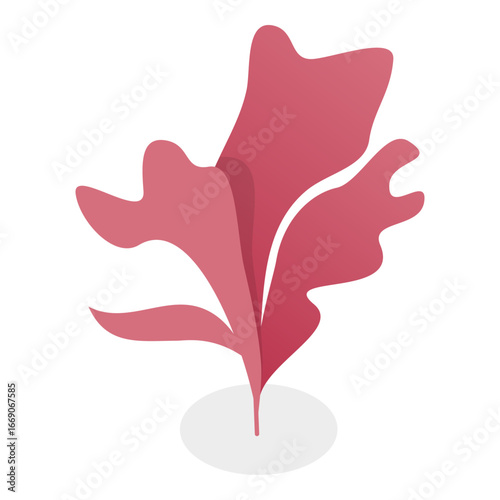 3D Isometric Flat Vector Set of Seaweeds, Marine Algae Collection. A set of various types of seaweed gathered from the ocean, perfect for showcasing the beauty of underwater flora.. Item 5