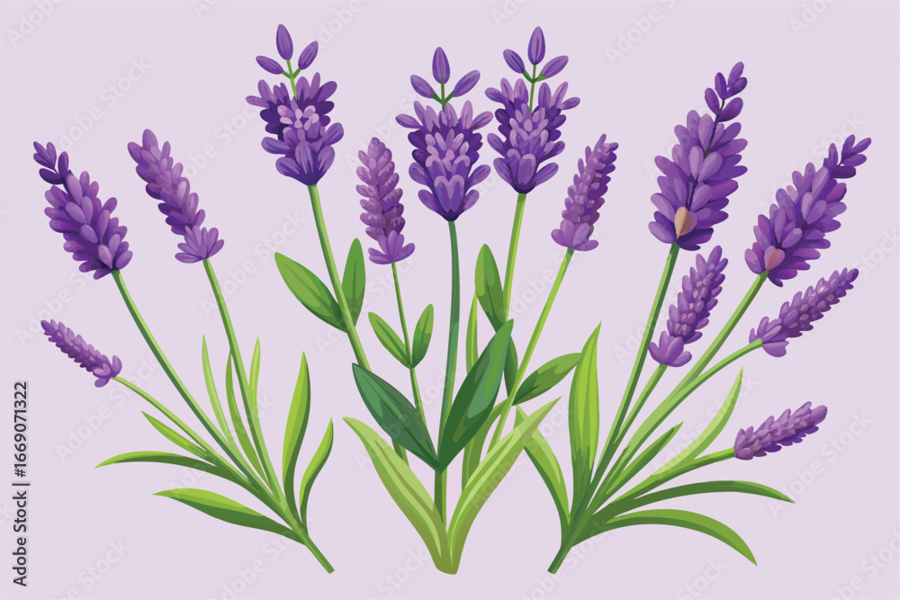 Naklejka premium Adobe Illustrator Artwork