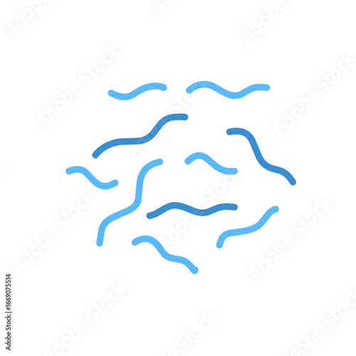 Spirillum bacteria