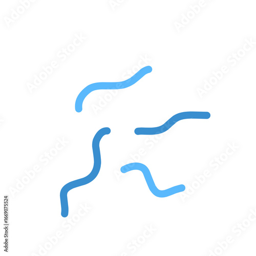 Spirillum bacteria