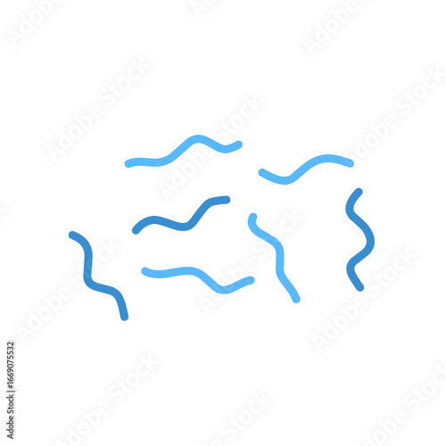 Spirillum bacteria