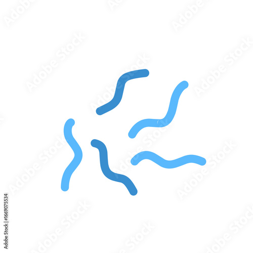 Spirillum bacteria