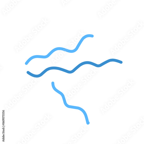 Spirillum bacteria