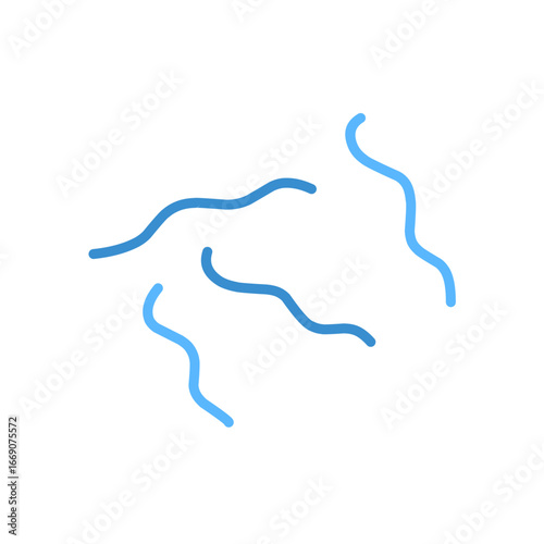 Spirillum bacteria