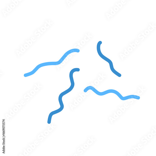 Spirillum bacteria