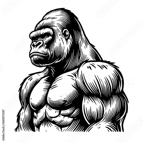 Vector Illustration of a Strong Muscular Gorilla Head and Torso
