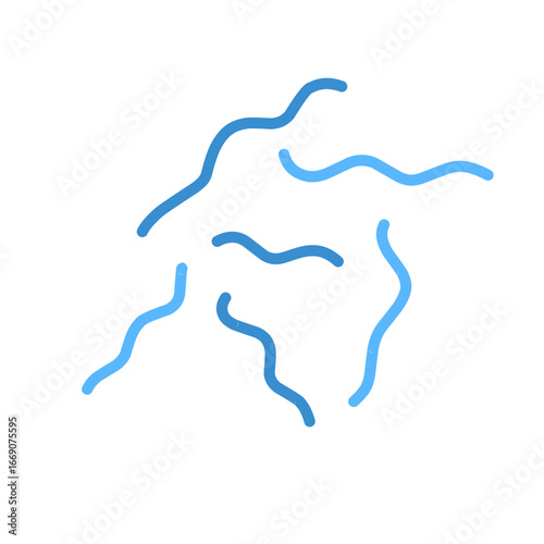 Spirillum bacteria