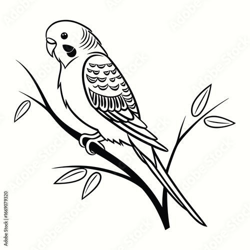 parrot on branch