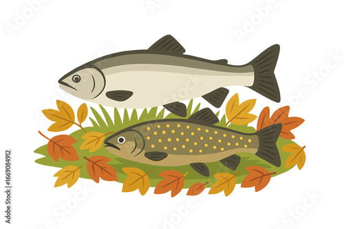 A catch of predatory fish, including the Asp fish - Aspius Aspius and the Northern Pike - Esox Lucius, on a bed of autumn leaves