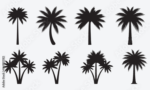 Stylized black silhouettes of various palm trees, an isolated vector collection representing tropical islands, summer, and exotic nature
