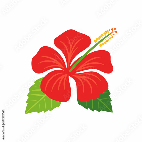 Red hibiscus flower vector illustration with green leaves isolated