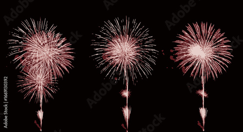 Explosions of Light Capturing the Beauty of Fireworks in the Night Sky