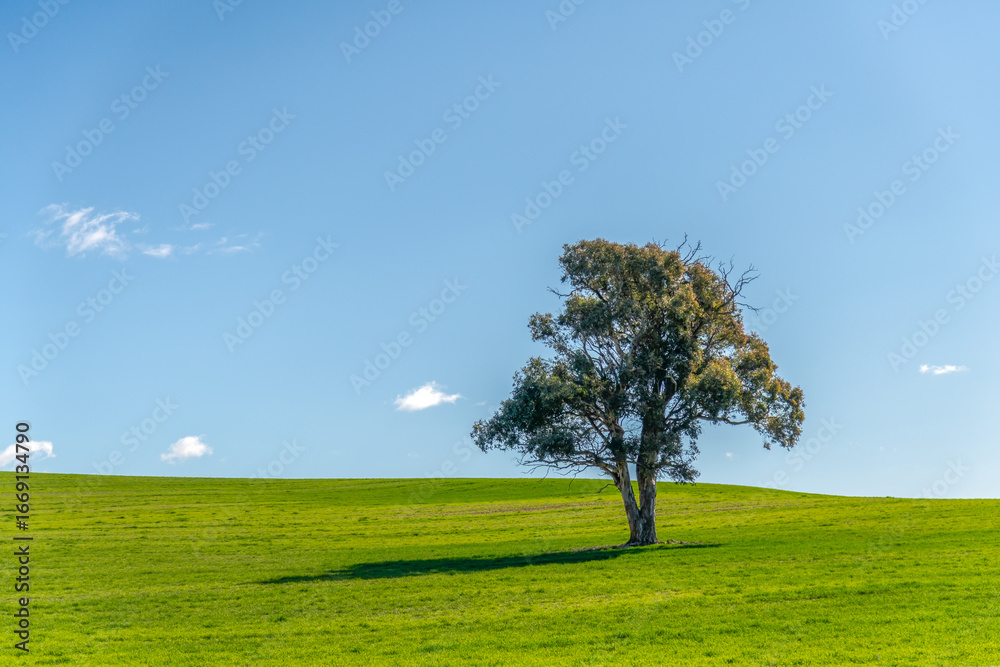 Obraz premium Season's shift across the countryside from Winter towards Spring