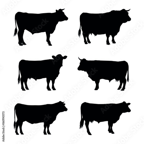 Angus cow silhouette set, Black & White silhouette set