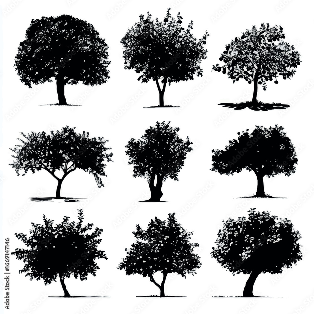 Fototapeta premium Apple tree silhouette set, Black & White silhouette set