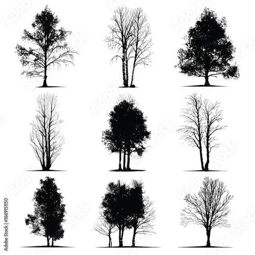 Aspen tree silhouette set, Black & White silhouette set