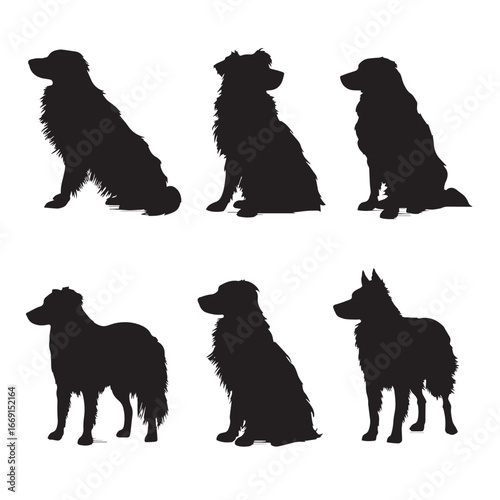 Australian shepherd silhouette set, Black & White silhouette set