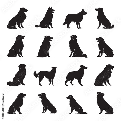 Australian shepherd silhouette set, Black & White silhouette set