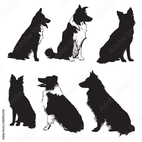 Australian shepherd silhouette set, Black & White silhouette set