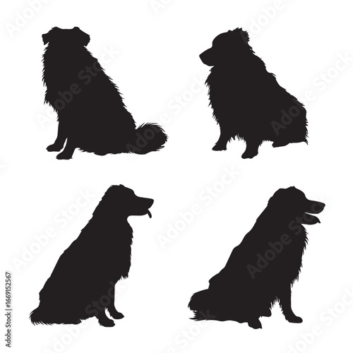 Australian shepherd silhouette set, Black & White silhouette set