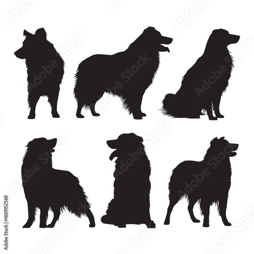 Australian shepherd silhouette set, Black & White silhouette set
