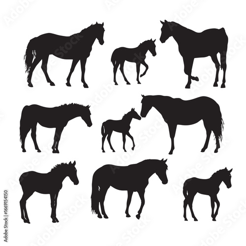 Baby horse silhouette set, Black & White silhouette set
