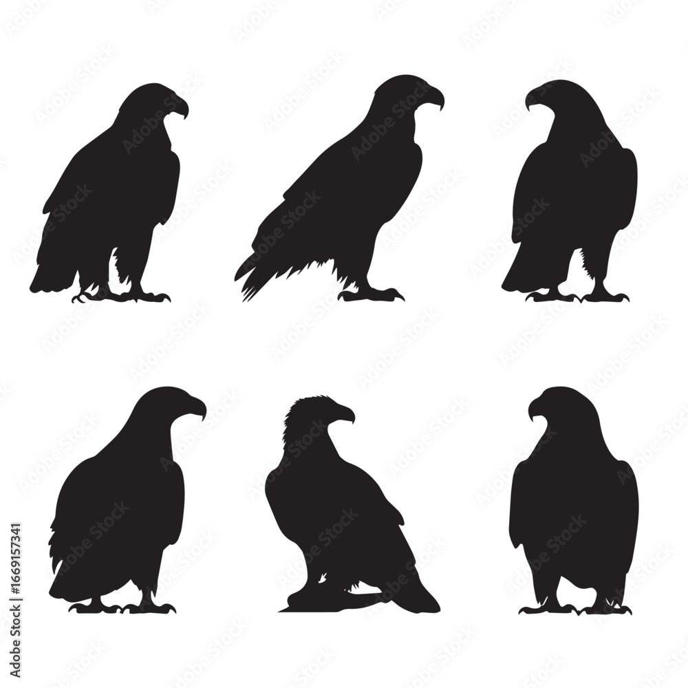 Fototapeta premium Bald eagle silhouette set, Black & White silhouette set