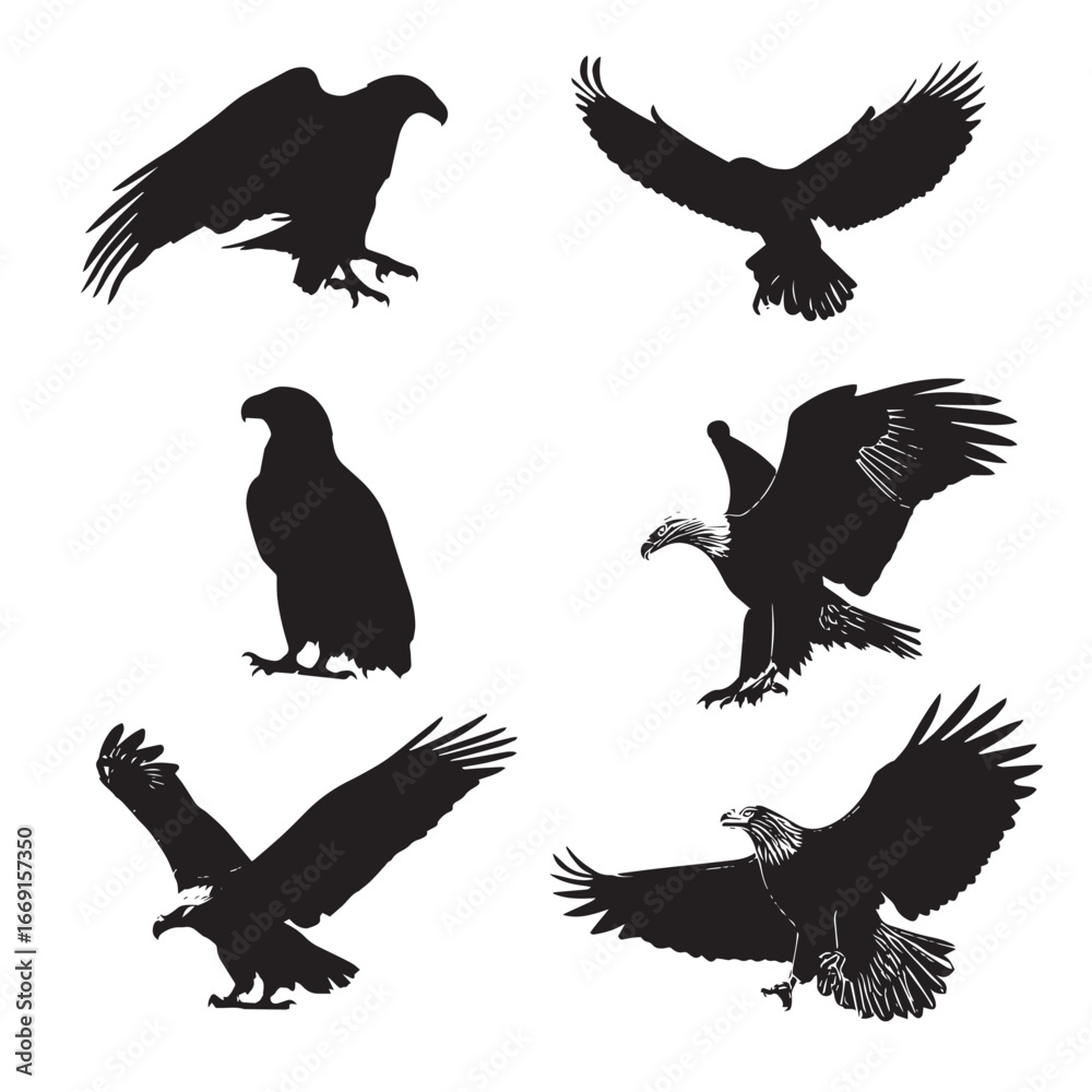 Obraz premium Bald eagle silhouette set, Black & White silhouette set