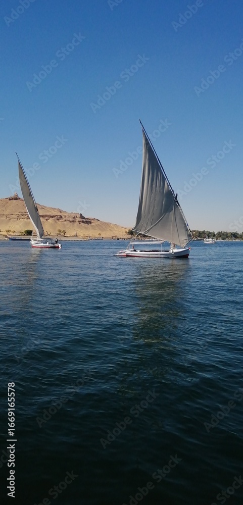 Fototapeta premium sailing boat in the Nile River Egypt