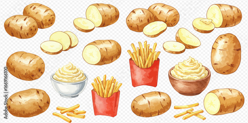A watercolor illustration set of raw potatoes, whole and sliced, with prepared french fries and mashed potatoes.