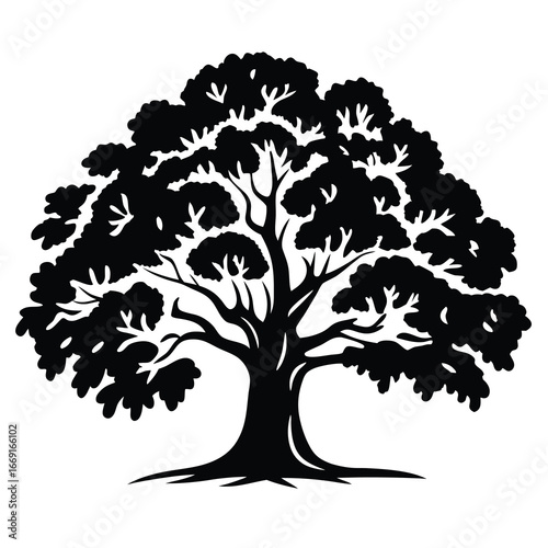 Silhouette of a lush leafy tree showcasing the beauty of nature