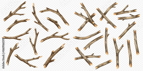 A realistic collection of dry tree branches, broken wooden sticks, and twigs of various shapes and sizes.