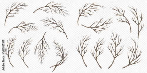 A collection of hand-drawn, leafless tree branches, isolated on a transparent background for design.