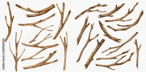 A collection of realistic dry tree branches, twigs, and sticks of various shapes and sizes isolated on a transparent background.