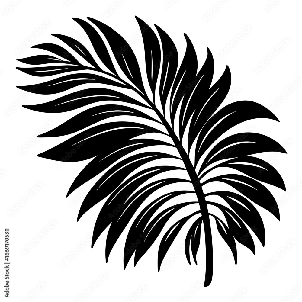 Obraz premium Three detailed black and white palm fronds elegant tropical botanical elements design nature