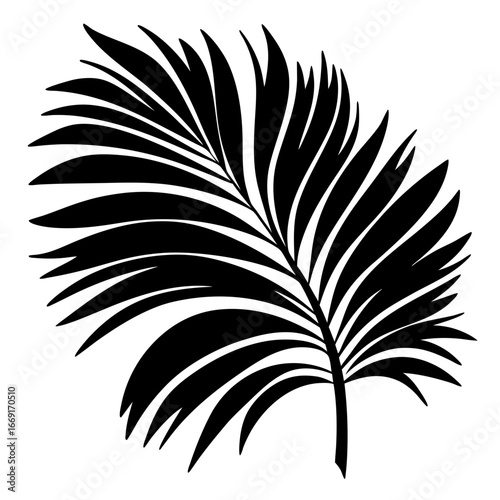 Abstract Palm Leaf Silhouette Illustration for Summer Designs and Tropical Themes