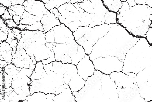 Monochrome Distressed Crack Pattern Vector Background