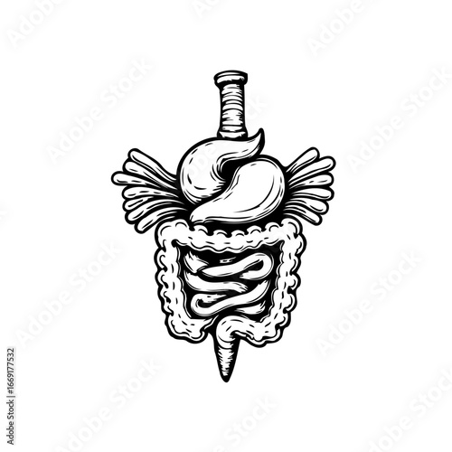 Anatomical abstraction a stylized black and white illustration of digestive organs as an unusual