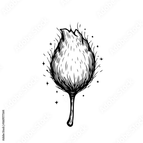 Artistic botanical illustration displaying an unopened flower bud with intricate line work