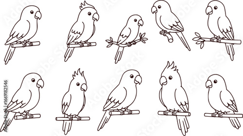 Set of Cute Cartoon Parrot Bird Line Art Outlines
