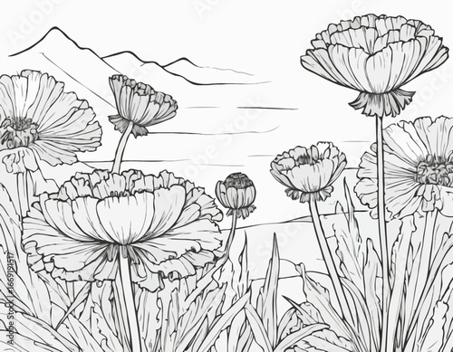 Marigold Flower Sketch Illustration