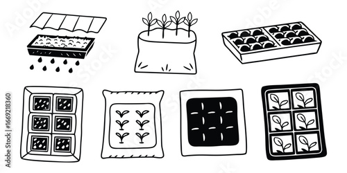 Hand drawn illustration of seed starting trays and seed packets with plants seedling growing