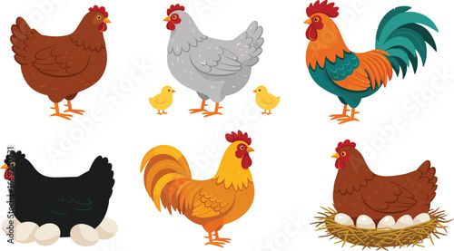 Farm chickens and roosters with eggs and chicks, colorful poultry birds, hen nests, rural animals, farmyard life illustration