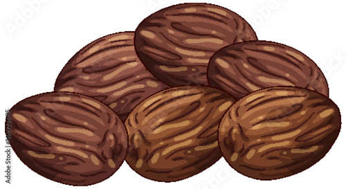 Whole Nutmeg Seeds in Realistic Vector Illustration