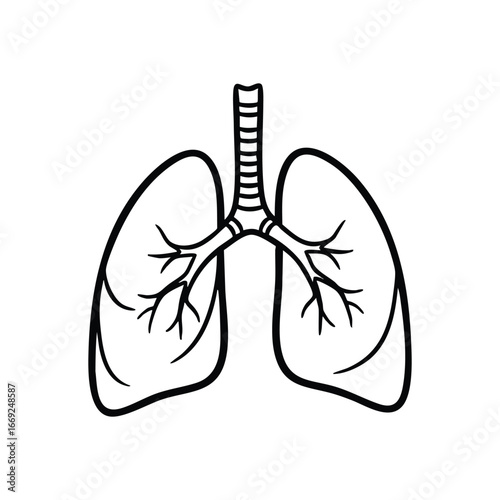 Human Lungs Respiratory System Icon. Detailed anatomical illustration of pulmonary organs. Represents vital health, breathing, and wellness concepts.