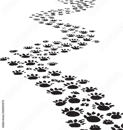 Paw vector foot trail print of cat. Dog, puppy silhouette animal diagonal tracks for t-shirts, backgrounds, patterns, websites, showcases design, greeting cards, child prints and etc.