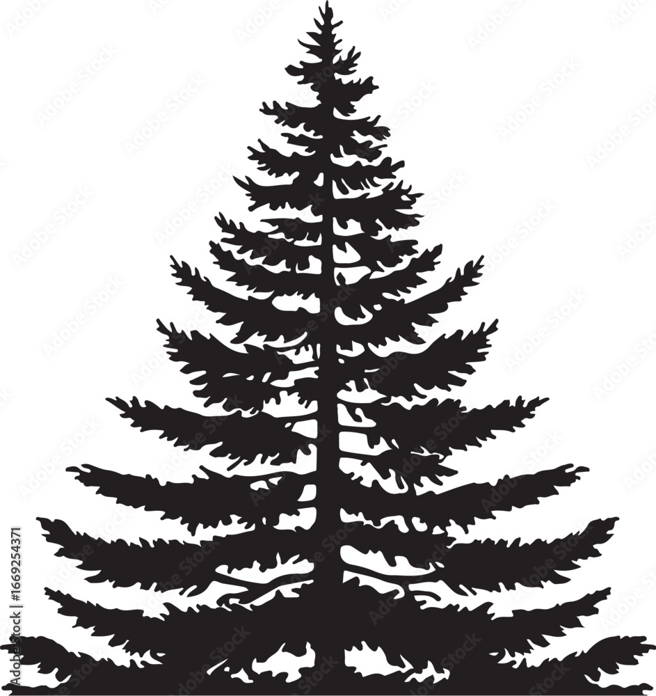 Fototapeta premium tree silhouettes of various trees on white background